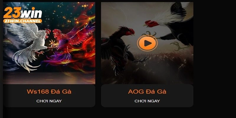 Cập nhật sảnh đá gà chất lượng tại 23WIN